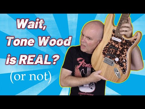 $69 Pine DIY Strat electric guitar kit from Leo Jaymz PROVES that tone wood is... #guitarreview