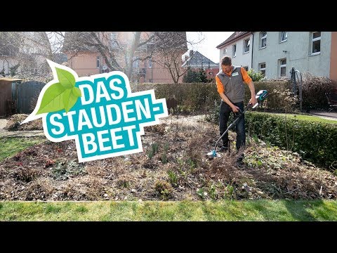 Frühjahrsputz im Staudenbeet: Stauden pflegen, schneiden und teilen