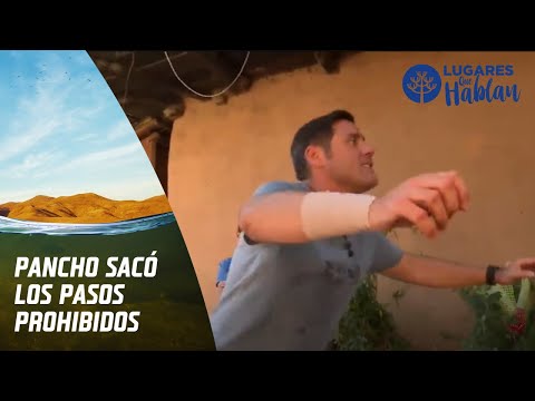 Pancho Saavedra realizó jugo de uva bailando reguetón | Lugares Que Hablan 2020