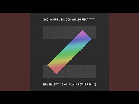Never Letting Go (David Zowie Remix)