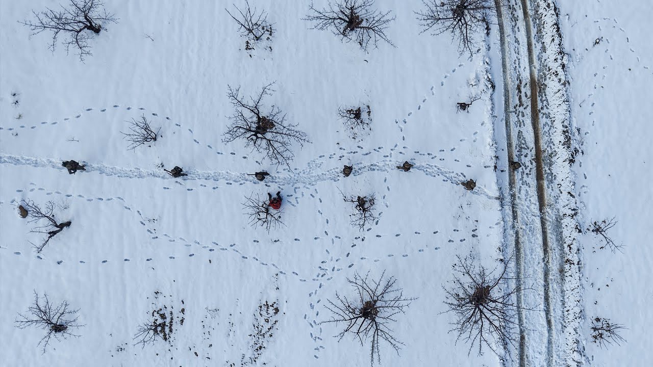 صورة بعنوان: maxresdefault