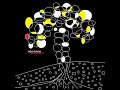 brad allen - who knew - demo - bradart brad allen - who knew - demo