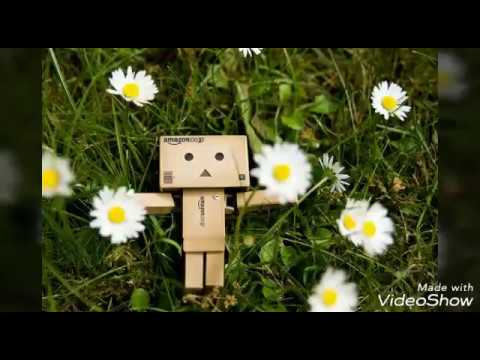 Danbo Galau(Kumaki dalam Dekapan-Aksen) Indie Band Majalengka