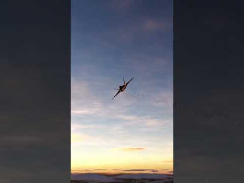 Su-57 Felon vs F-22 Raptor | DCS World