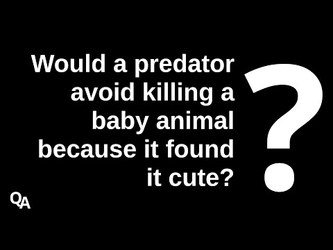 Would a predator avoid killing a baby animal because it found it cute?