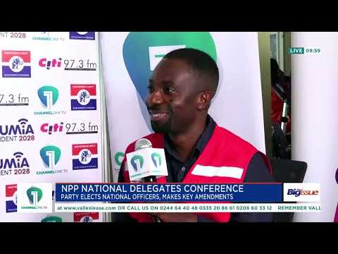 NPP Constitutional Changes: Miracles Aboagye Defends Three Additional Vice Chair Positions