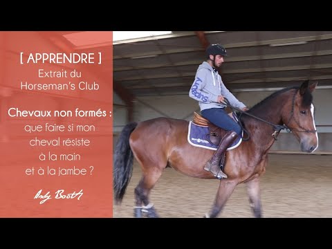 [APPRENDRE] Chevaux non formés : que faire si mon cheval résiste à la main ou à la jambe ?