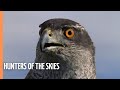 Hunters Of The Skies | Full Episode
