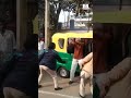 Bihar Shocker Lady Cops Beat Up Elderly Teacher For Being Slow On Road
