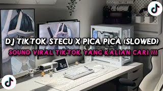 Download lagu DJ TIKTOK STECU X PICA PICA || SLOWED  VIRAL TIKTOK 2025 mp3 Download lagu DJ TIKTOK STECU X PICA PICA || SLOWED  VIRAL TIKTOK 2025 mp3