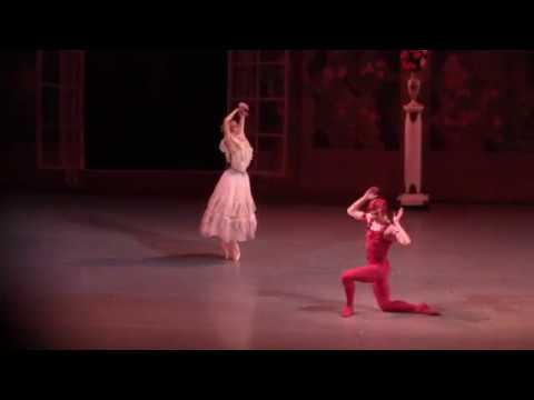 Le Spectre de la Rose - Vladimir Shklyarov & Svetlana Ivanova - Mariinsky 20.03.2016