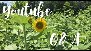 WHAT GOD HAS BEEN TEACHING ME!