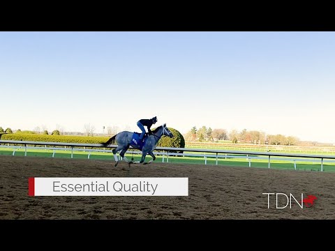 Blue Grass Homecoming for Cox, Essential Quality