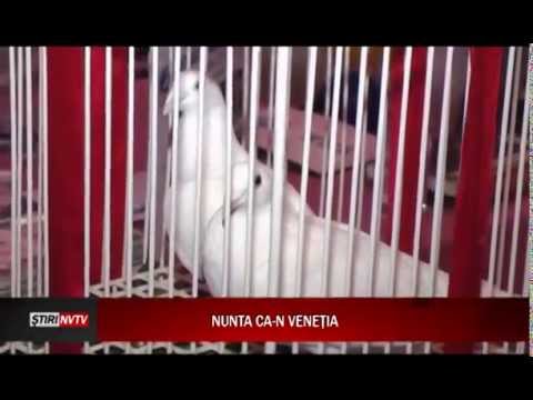 Nunta ca-n Venetia