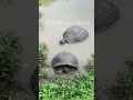 Vacaciones En Isla Galapagos ️