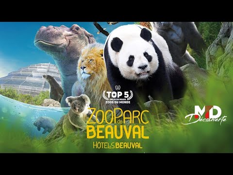 Zoo Parc de Beauval - 2024