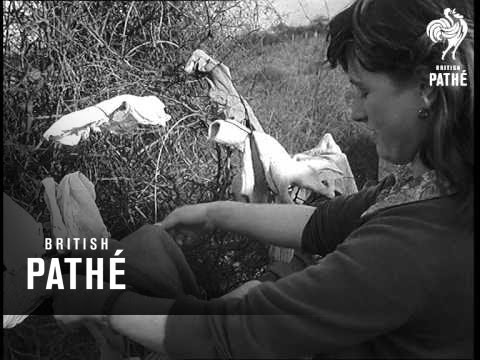 Gypsies' Problem (1962)