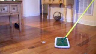 preview picture of video 'Gunner the Border Collie Versus Swiffer the Dustmop.'
