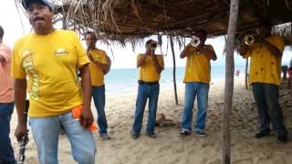 preview picture of video '¿Qué me vas a dar si vuelvo? con banda en Guayabitos Nayarit'