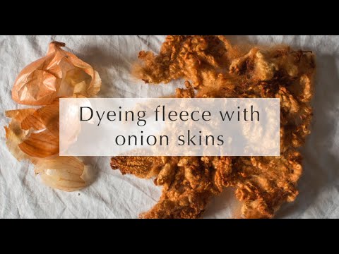How to dye wool fleece with onion skins