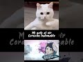 Mitsuri Kanroji merece esta canción 💗 | Corazón Indomable