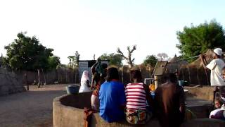 preview picture of video 'Women collecting water for the garden: Passamassi Mandinka (Gambia)'