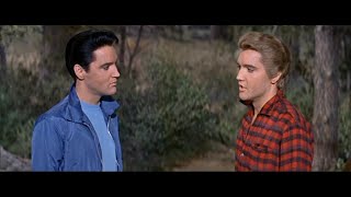 What Happened To The Cast Of &quot;Kissin&#39; Cousins&quot;?