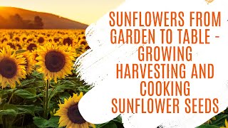 Sunflowers: From Garden to Table - Growing, Harvesting, and Cooking Sunflower Seeds