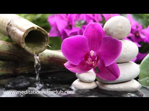 3 HOURS Japanese Zen Garden Music: 50 Shades of Relaxation Music buddha