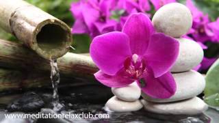 3 HOURS Japanese Zen Garden Music: 50 Shades of Relaxation Music buddha