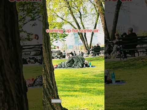 NYC Couple Under Blanket In The Park.🤯 #subscribe #shorts #shortsvideo #nyc #blanketcouple #fyp