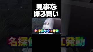綺麗な粉砕劇ですわ #第五人格 #identityv #ゲーム実況 #ハンター #マリー #shorts