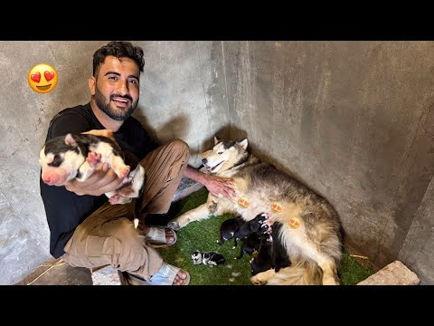 Fiona Ny Piare Se Babies Dy Diye😍