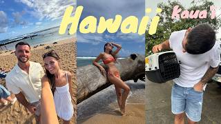 HAWAII VLOG | we rescued a kitten!!