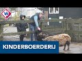 Delftse wijk Tanthof komt in actie voor behoud van kinderboerderij - OMROEP WEST
