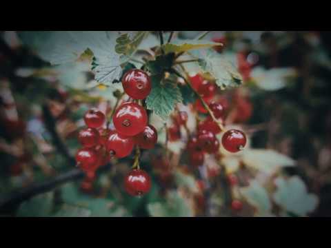 [FREE] Gunna x Future x Roddy Ricch Type Beat - "New Drip"