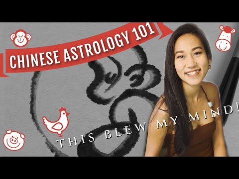 How to read your BAZI chart // Chinese Astrology for beginners 🏮