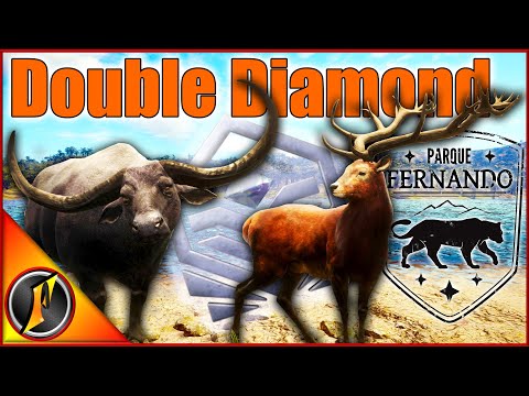 Crazy Double Diamond Hunt on Parque Fernando!