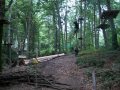 Chloe on a zipline in Parc Aventura Brasov