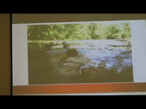 2020 FM Symp. 6A Ed Forte:  Oh,  Sweet Revenge, Aug 1780, Musgrove's Mill Battle Oct 24 09H56M AM T1