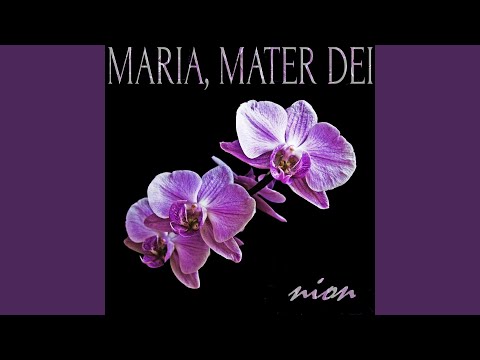 Alma Redemptoris Mater