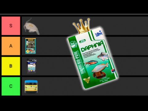 Ranking The BEST Aquarium Fish Food