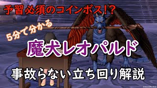 ドラクエ10実況＃59 魔犬レオパルド攻略解説！事故らない立ち回り＆オススメPT構成