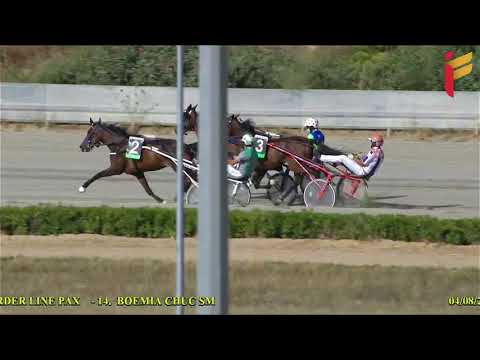 I Corsa del 4 Agosto 2021 - 4 Anni - Metri 1600