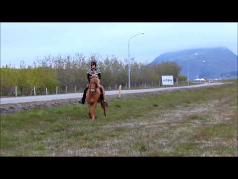 Brynja, Its my life.