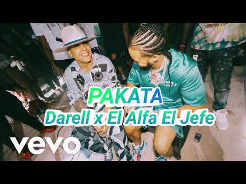 pakata El Alfa El jefe ft Darell