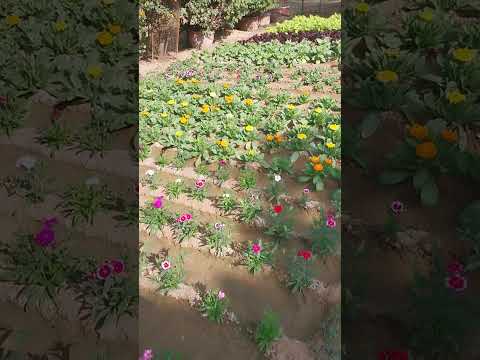 # Beaty of nature #plz_subscribe_my_channel #music