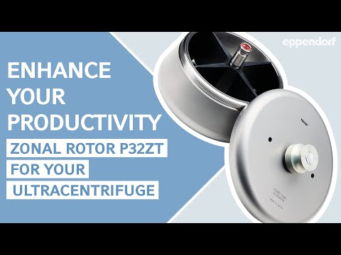 some alternative text