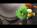 Thatching Eggs Award Winning 3D Animated Short Film