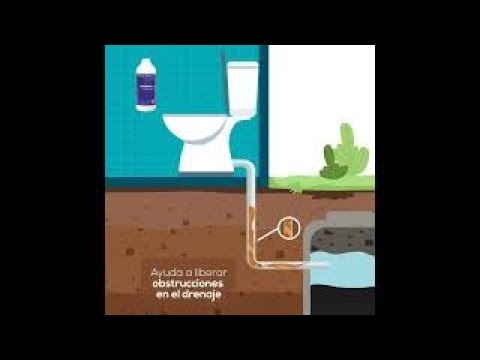 BACTERIAS PARA POZO SEPTICO BIODYNE